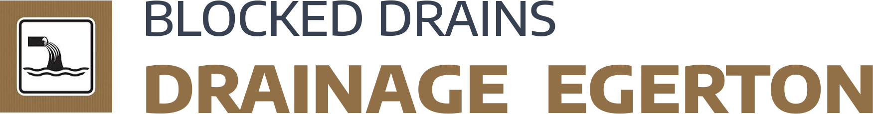 website logo